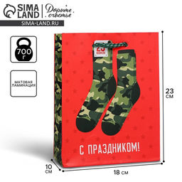 Цена за 2 шт. Пакет подарочный ламинированный, упаковка, «С 23 февраля», MS 18×23×10 см