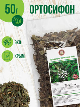 Ортосифон (почечный)