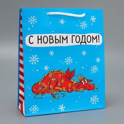 Пакет ламинированный вертикальный Сгораю для тебя, ML 21 х 25 х 8 см