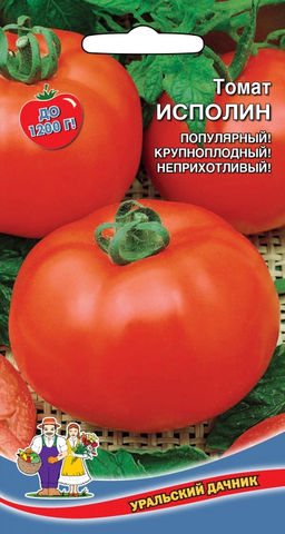 Томат ИСПОЛИН Супер крупный! Популярный! Неприхотлив!
