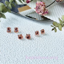 Набор сережек Капибары - Купи слона фото 2