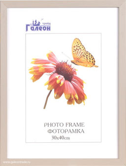 Фоторамка 30x40 / ZR208B-19 /