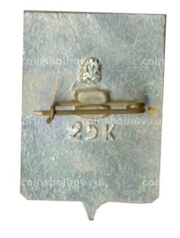 Значок Волгоград