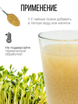 ЛЕН порошок из проростков 130г (Flax Sprout Premium Powder)