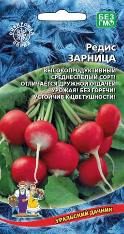 Редис ЗАРНИЦА  Высокопродуктивный среднеспелый сорт! Отличается дружной отдачей урожая! Без горечи! Устойчив к цветушности!
