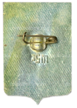 Значок Житомир