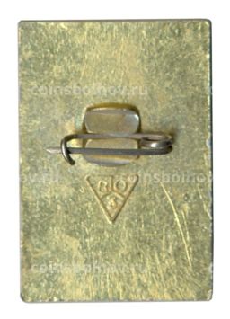 Значок Владимир