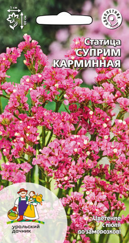 Статица СУПРИМ КАРМИННАЯ