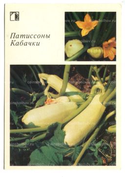 Открытка Патиссоны.Кабачки