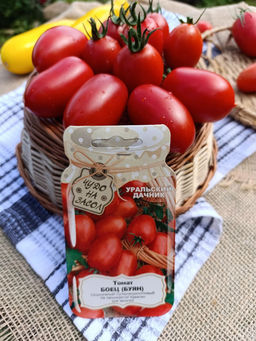 Томат БОЕЦ (БУЯН) Суперскороспелый гость из Новосибирска! Неприхотлив! Без пасынкования! Идеален для засолки! - Уральский дачник фото 3