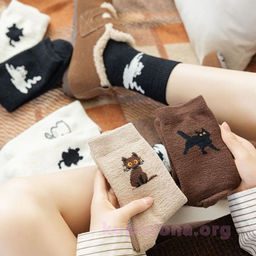 Шерстяные носки One cat