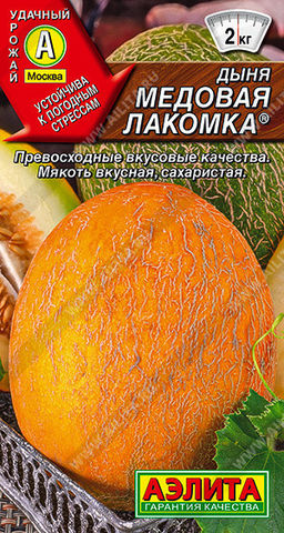 0404A Дыня Медовая лакомка 1гр