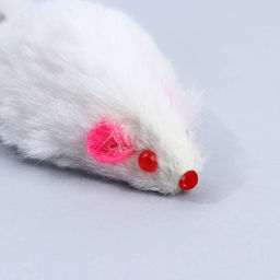 Игрушка для кошек лазер+мышь Моей принцессе - Пушистое счастье фото 7