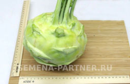 Капуста кольраби Гигант - Партнер фото 2