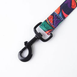 Поводок Невозможно слиться с улицей, 2.5 см, 2 м - Пушистое счастье фото 9