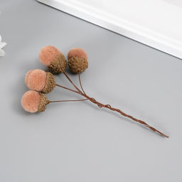 Цветы для декорирования «Жёлудь», бежевый, 1 букет= 6 веточек, d=2 см, 11 см