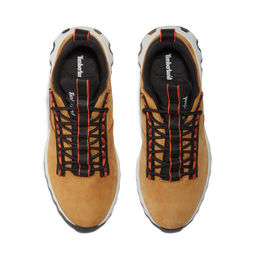 Кроссовки / Timberland  фото 2
