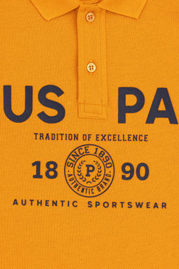 Футболка-поло U.S. Polo Assn Brick для мальчиков хлопок  фото 7