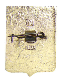 Значок Боровичи