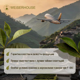 Живой чай / Дун Дин улун (живой чай), 1 уп. * 200 гр. - Weiserhouse фото 11