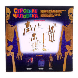 Набор для опытов Строение человека, 10 обучающих карточек - Эврики фото 7