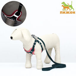 Комплект Sport+, М, поводок 120 x 1,5 см, ОШ 44-48 см, ОГ 51-60 см, вес животного 14-20 кг, зелёный