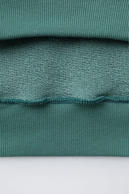 SHORT SLEEVE SKATE PATCH HOODIE - Zara фото 4