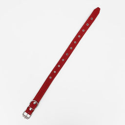 Ошейник кожаный на синтепоне, безразмерный, 65 х 3 см, ОШ 22-55 см, красный - Пижон фото 3