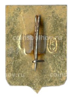 Значок Владимир