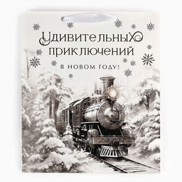 Пакет подарочный новогодний ламинированный «Приключений в новом году», тиснение, ML 23×27×11.5 см