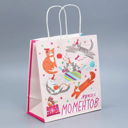Пакет крафтовый Вечеринка, 22 25 12 см