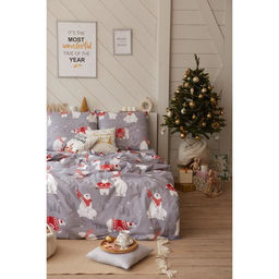 Постельное бельё евро Этель. Зимние игры, поплин