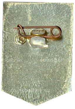 Значок Ударник коммунистического труда