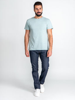 Футболка мужская короткий рукав GREG G145-RM-8002_R (мята м.)  фото 4