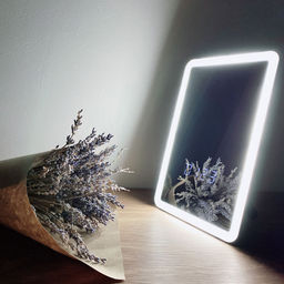 TLD-591 White/LED/80Lm/6000K/Dimmer Настольный светильник зеркало, 4W. Встроенный аккумулятор 3.7V/600mAh. Сенсорный выключатель. Диммер. Белый. ТМ Uniel
