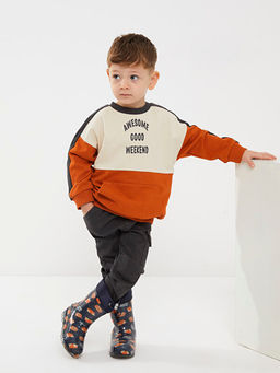 Bisiklet Yaka Uzun Kollu Bask?l? Erkek Bebek Sweatshirt ve E?ofman Alt 2li Tak?m - Waikiki фото 3