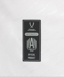 Футболка игровая Jogel AMKAL PerFormDRY Jersey, белый/бирюзовый  фото 6
