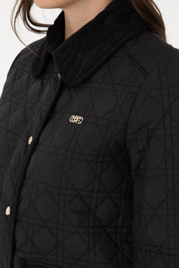 Женское черное пальто Неожиданная скидка в корзине - U.s. polo assn фото 6