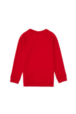 Erkek _ocuk K_rm_z_ Basic Bisiklet Yaka Sweatshirt - U.s. polo assn фото 5