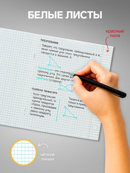 Комплект тетрадей из 5 шт Кактус, 48 листов, в клетку, обложка мелованный картон, блок офсет - Calligrata фото 4