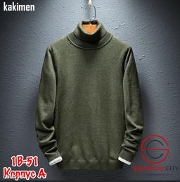 Мужская водолазка однотонная