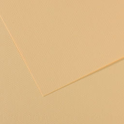 "Canson" Бумага для пастели Mi-Teintes 160 г/м2 A4 21 х 29.7 см лист 25 л. №407 Кремовый C31032S019