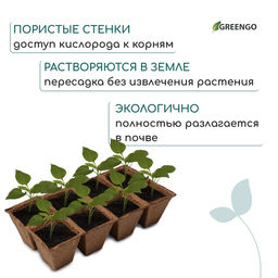 Цена за 2 шт. Кассета для рассады, 30×15×8 см, 8 ячеек по 150 мл, 6×6 см, торф, набор 3 шт.