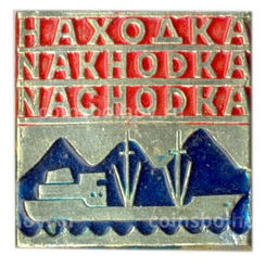 Значок Находка