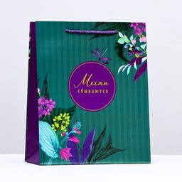 Пакет подарочный Мечты сбываются, 26 х 32 х 12 см