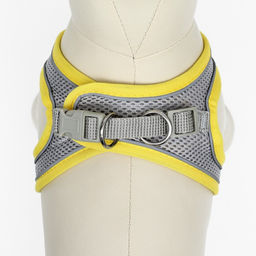 Комплект с мягкой шлейкой, размер XXS, поводок 150 х 1,5 см, ОГ 28-30 см,ОШ 24-26 см, жёлтый - Пижон фото 7