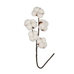 Искусственное растение Blumentag CTW-02 Веточка декоративная хлопок 40 см 5 х 1 шт. 01