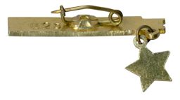 Значок Севастополь