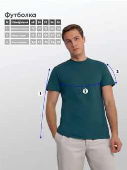 Арт. 61112/7 Футболка мужская 48-58 (6 шт) Цвет:изумруд - Идеал фото 6