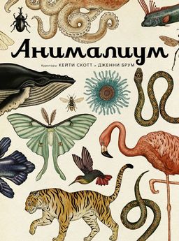 Анималиум. Брум Д. - Махаон фото 2